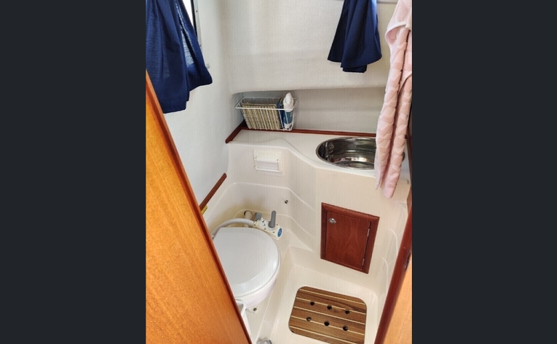 Bella Falcon 26 Fantino-kuva-9